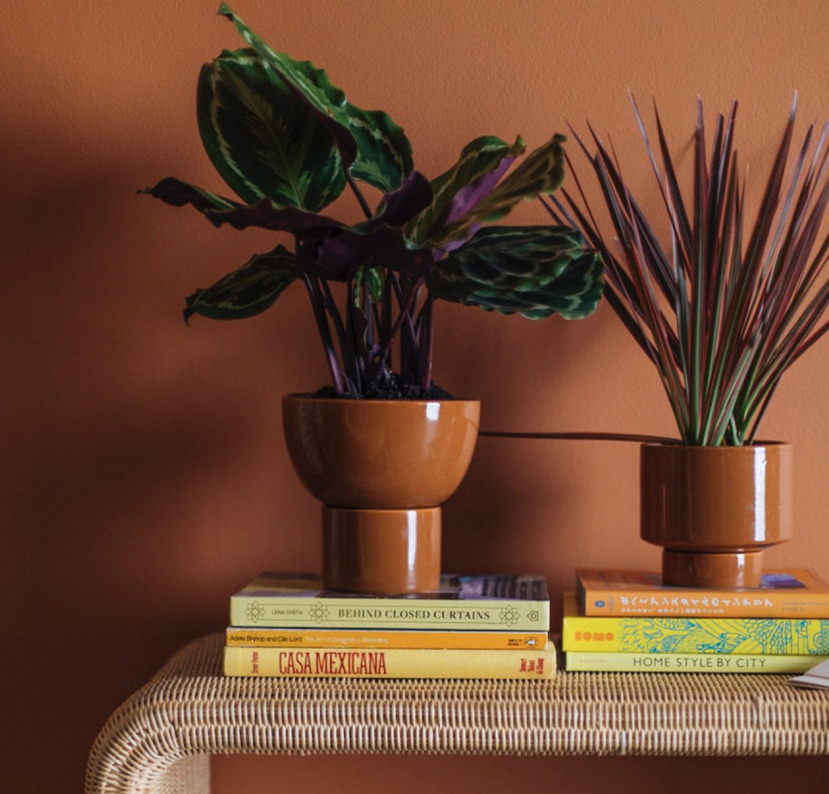 Our New Series On Sale Jungalow® Kaya 3-Piece Ceramic Planter By Justina  Blakeney™ are of high quality and quantity