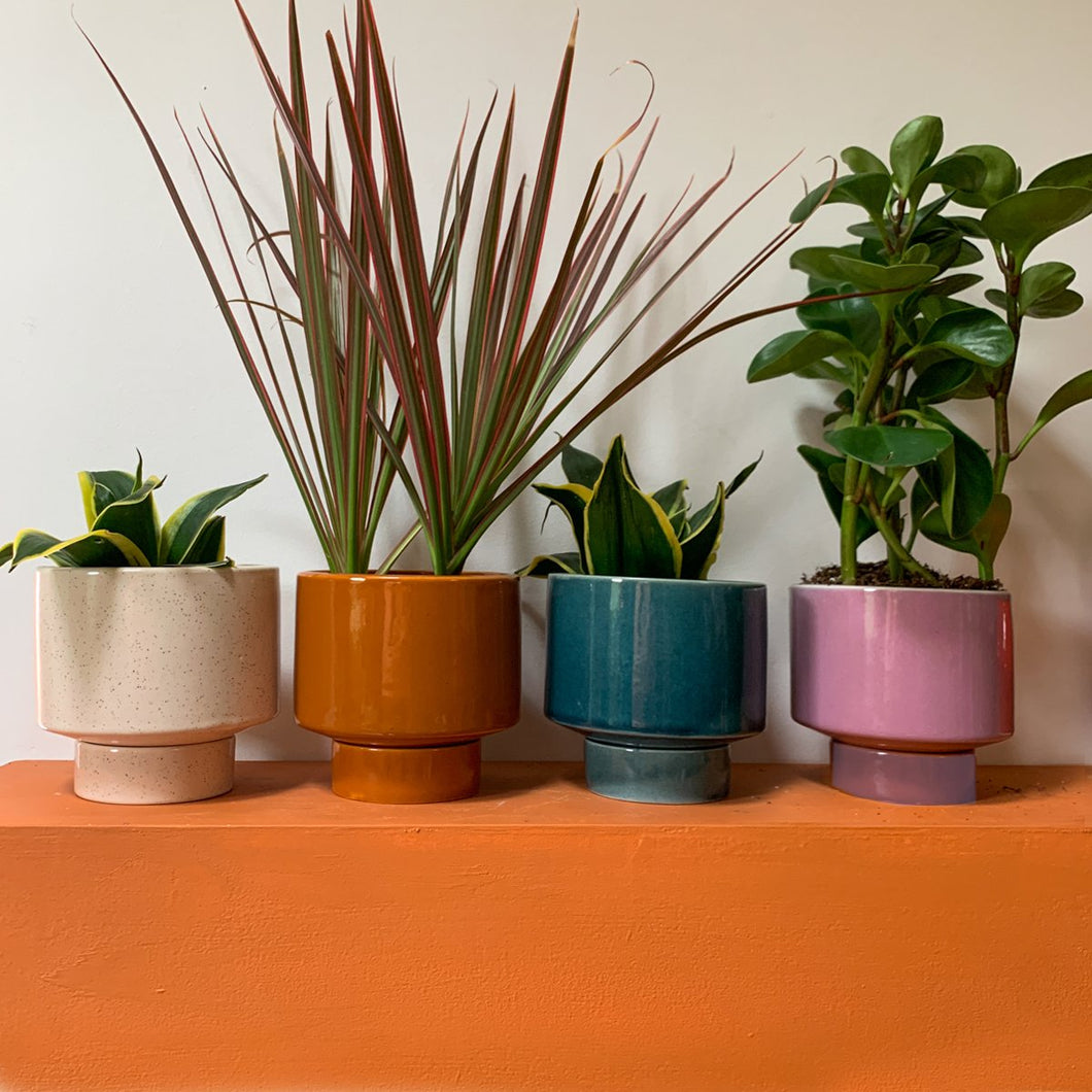 Our New Series On Sale Jungalow® Kaya 3-Piece Ceramic Planter By Justina  Blakeney™ are of high quality and quantity