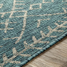Load image into Gallery viewer, Aqua Outdoor Rug
