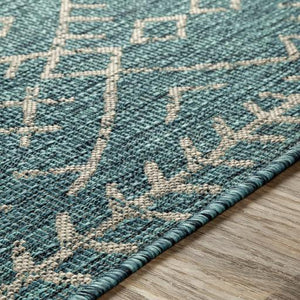 Aqua Outdoor Rug