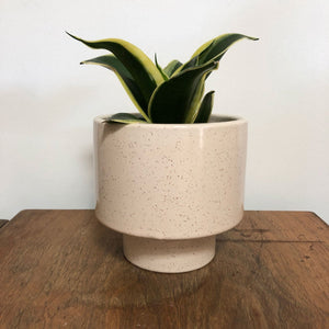 Kaya Shorty Ceramic Planter by Justina Blakeney®